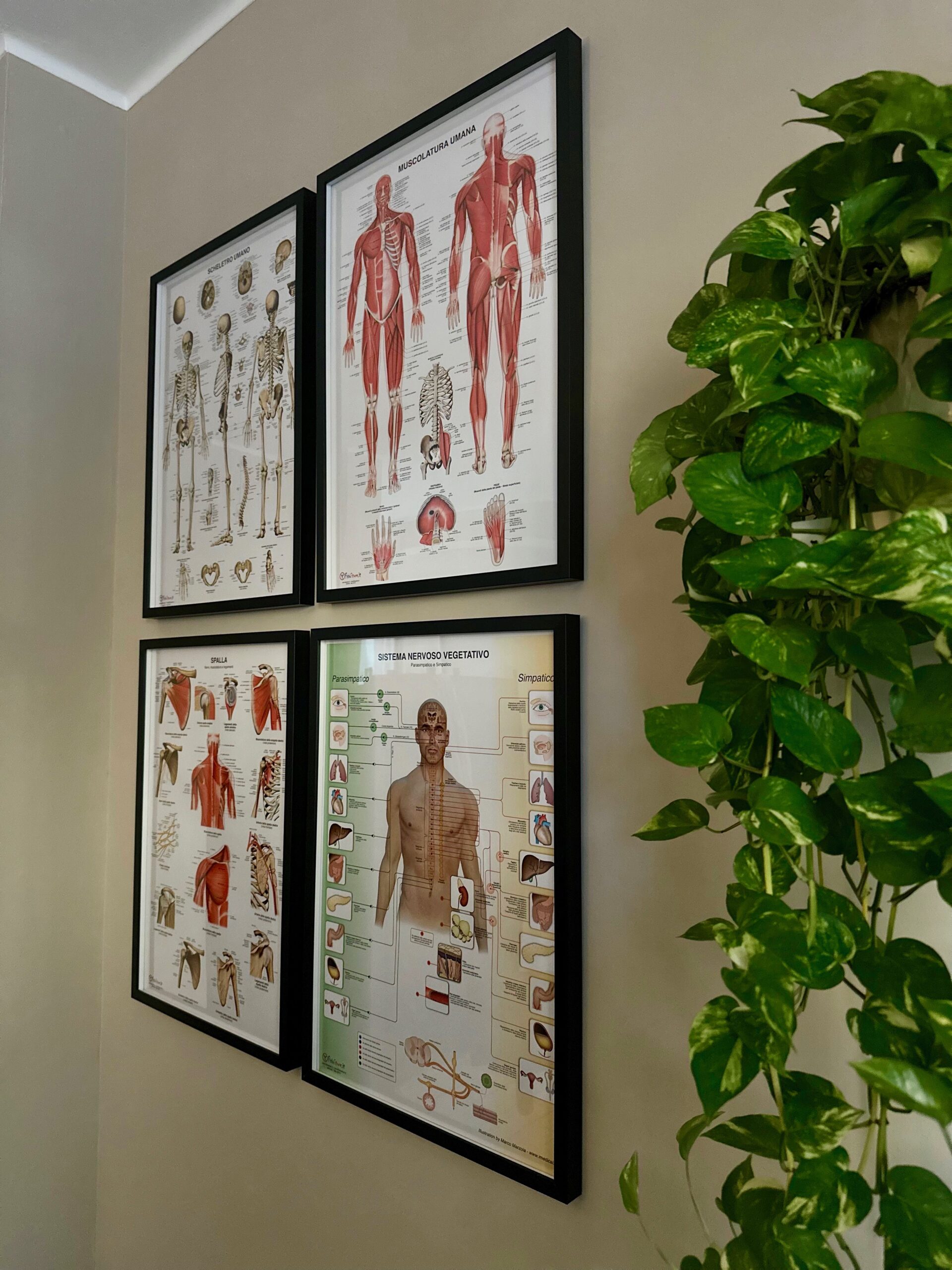 Chi sono foto locale